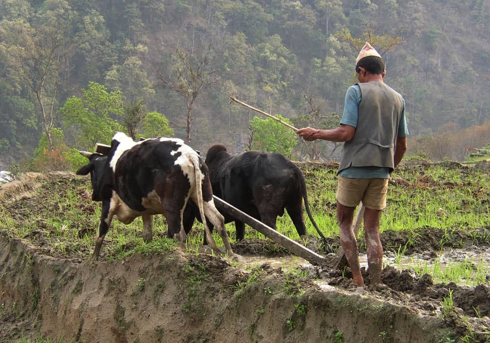 Annapurna Poon Hill Trek