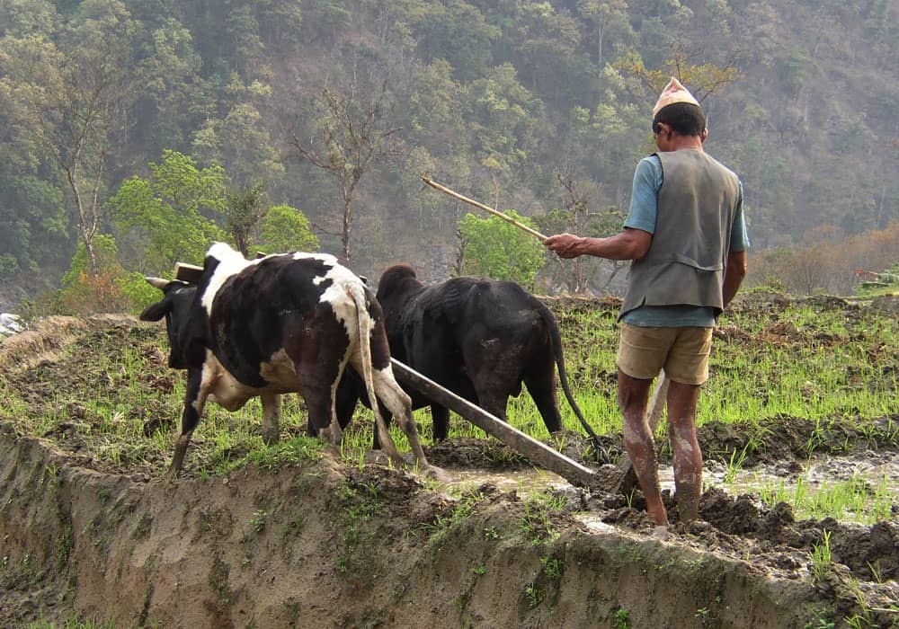 Poon Hill Trek